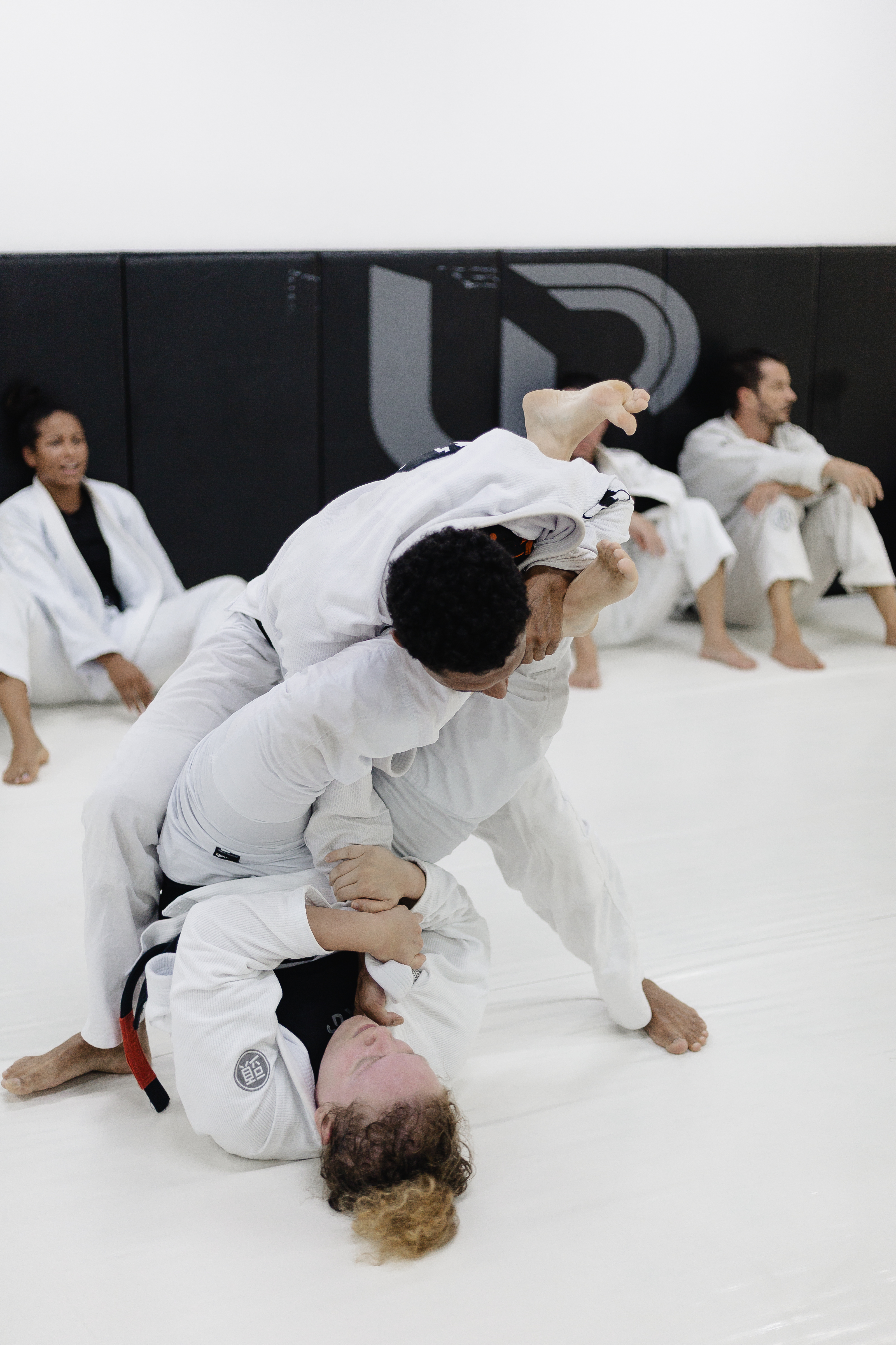 Treino